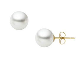 South Sea Cultured Pearl Stud Earrings : 18K Yellow Gold (11.0-11.5mm)south 