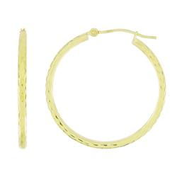 10k Yellow Gold Medium Size Hoop Earringsyellow 