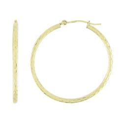 10k Yellow Gold Medium Size Hoop Earringsyellow 