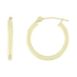 10k Yellow Gold Small Hoop Earringsyellow 