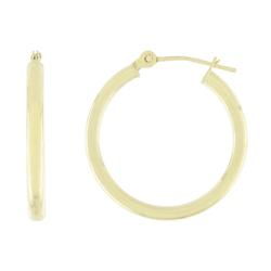 10k Yellow Gold Small Hoop Earringsyellow 