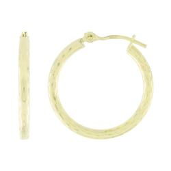 10k Yellow Gold Small Hoop Earringsyellow 