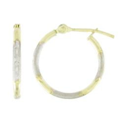 10k Yellow Gold Small Hoop Earringsyellow 