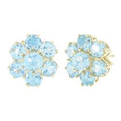 Yellow Gold Blue Topaz Earringsyellow 