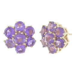 Yellow Gold Amethyst Earringsyellow 