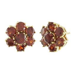 14k Yellow Gold Garnet Earringsyellow 