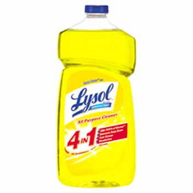 Lysol Brand All-Purpose Cleaner 4 In 1 Case Pack 9lysol 