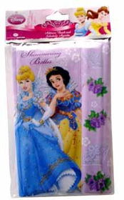 Princess Tall Foam Agenda with Velcro Case Pack 216