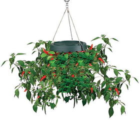 Vertical Grow Bag - Pepper Planter vertical 