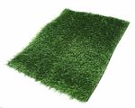 Synthetic Grass for Large Potty Pad