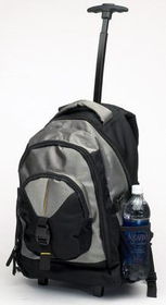 BRONZE & BLK BACKPACKbronze 