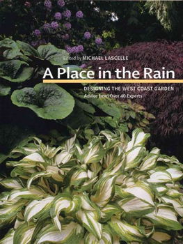 A Place In The Rainplace 