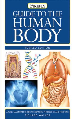 Guide to the Human Bodyguide 