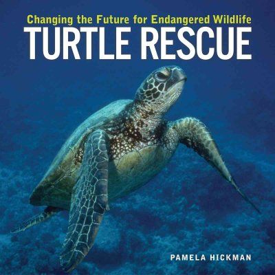 Turtle Rescueturtle 