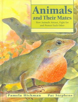 Animals And Their Matesanimals 