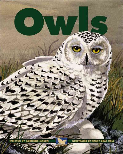 Owlsowls 