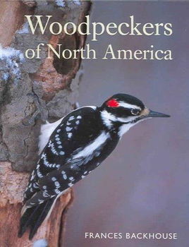 Woodpeckers of North Americawoodpeckers 