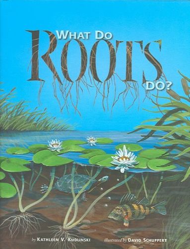 What Do Roots Do?roots 