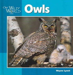 Owlsowls 
