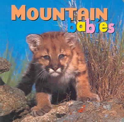 Mountain Babiesmountain 
