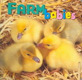 Farm Babiesfarm 
