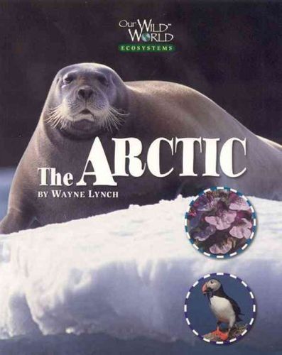 Arcticarctic 