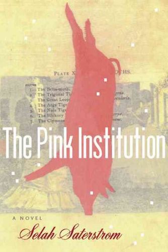 The Pink Institutionpink 