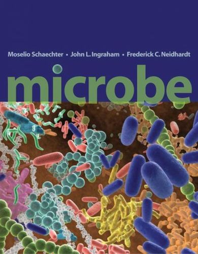 Microbemicrobe 