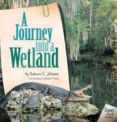 A Journey into a Wetlandjourney 