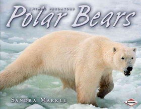 Polar Bearspolar 