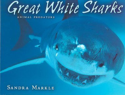 Great White Sharkswhite 
