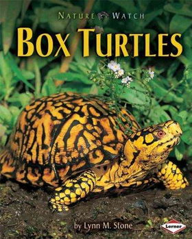 Box Turtlesbox 