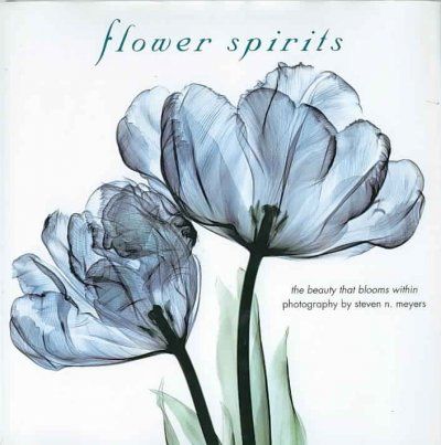 FLOWER SPIRITSflower 