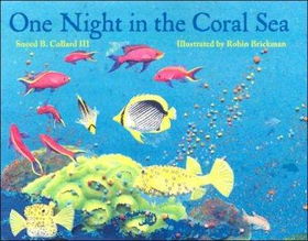 One Night in the Coral Seanight 