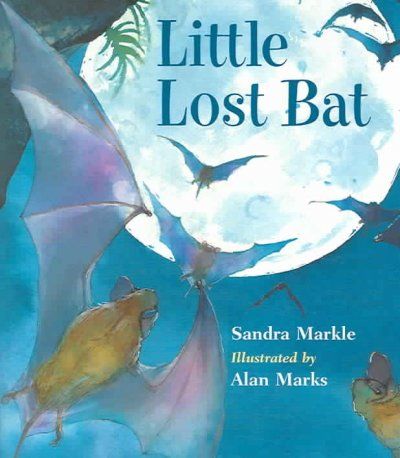 Little Lost Batlittle 