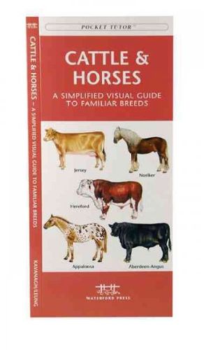 Cattle and Horsescattle 