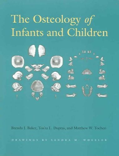 The Osteology of Infants And Childrenosteology 
