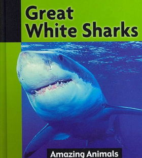 Great White Sharkswhite 