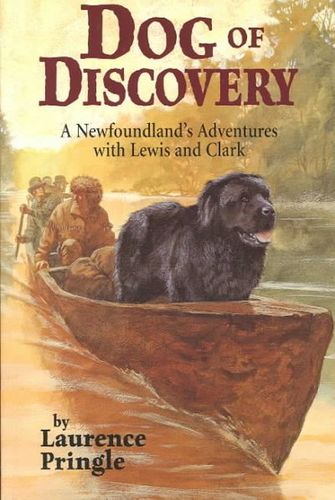 Dog of Discoverydog 
