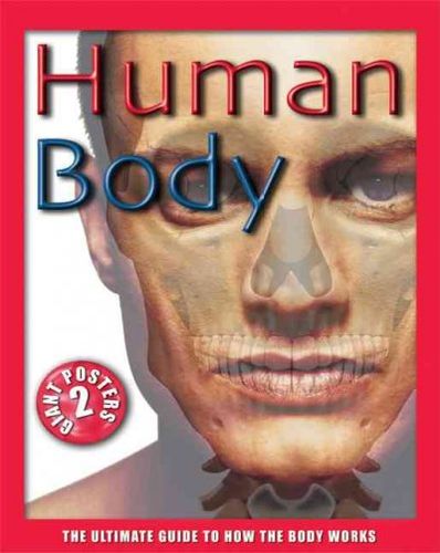 Human Bodyhuman 