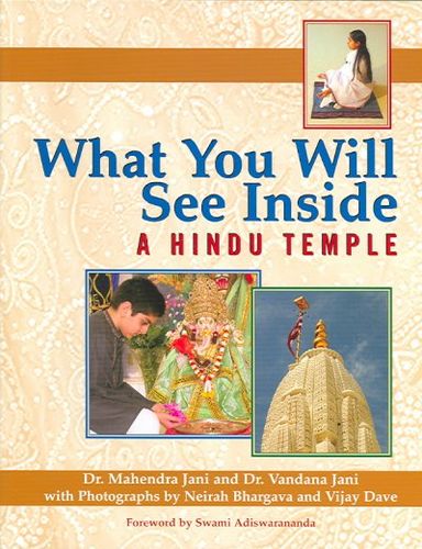 What You Will See Inside a Hindu Templeinside 