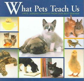 What Pets Teach Uspets 