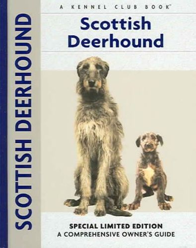 Scottish Deerhoundscottish 