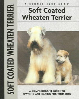 Soft Coat Wheaten Terriersoft 