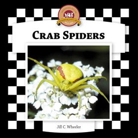 Crab Spiderscrab 