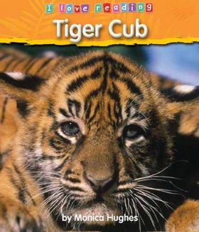 Tiger Cubtiger 
