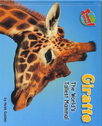 Giraffegiraffe 