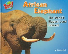 African Elephantafrican 