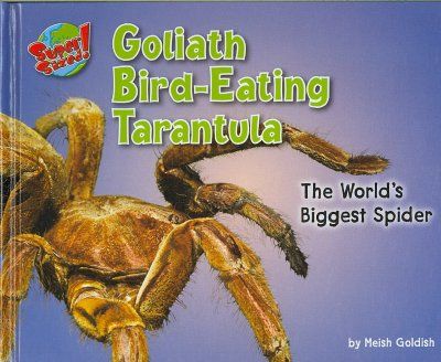 Goliath Bird-Eating Tarantulagoliath 