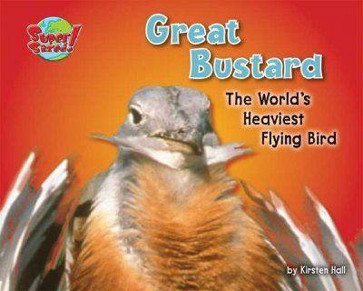 Great Bustardbustard 
